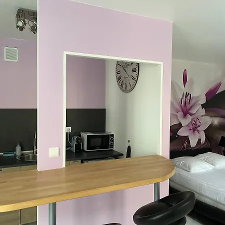 Du Cirque Centre Historique Apartment